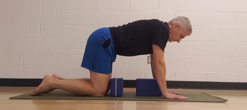 Chaturanga Dandasana instruction